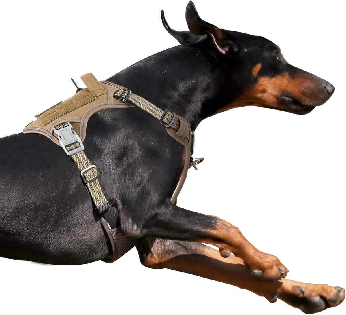 Tactical Dog Harness with Handle – Enhance Safety & Control for Your Active Companion