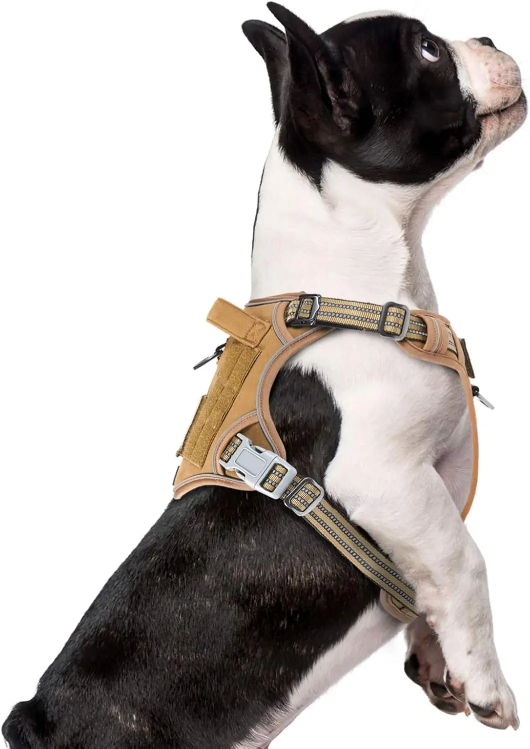 Tactical Dog Harness with Handle – Enhance Safety & Control for Your Active Companion