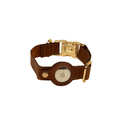 Stylish Leather AirTag Dog Collar