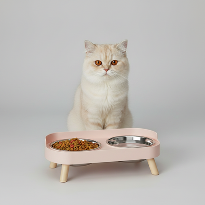 Elevated Dual Bowl Feeding Station: Comfort & Convenience for Your Pet