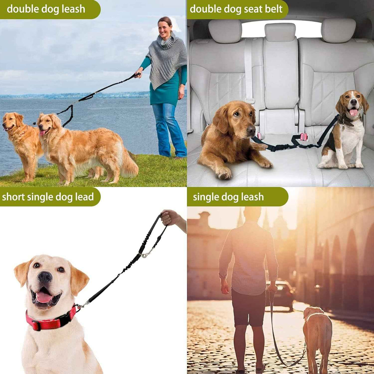 Ultimate Duo Dog Leash Bundle: Freedom and Safety for You and Your Pooch