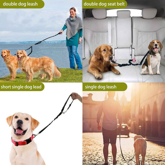 Ultimate Duo Dog Leash Bundle: Freedom and Safety for You and Your Pooch