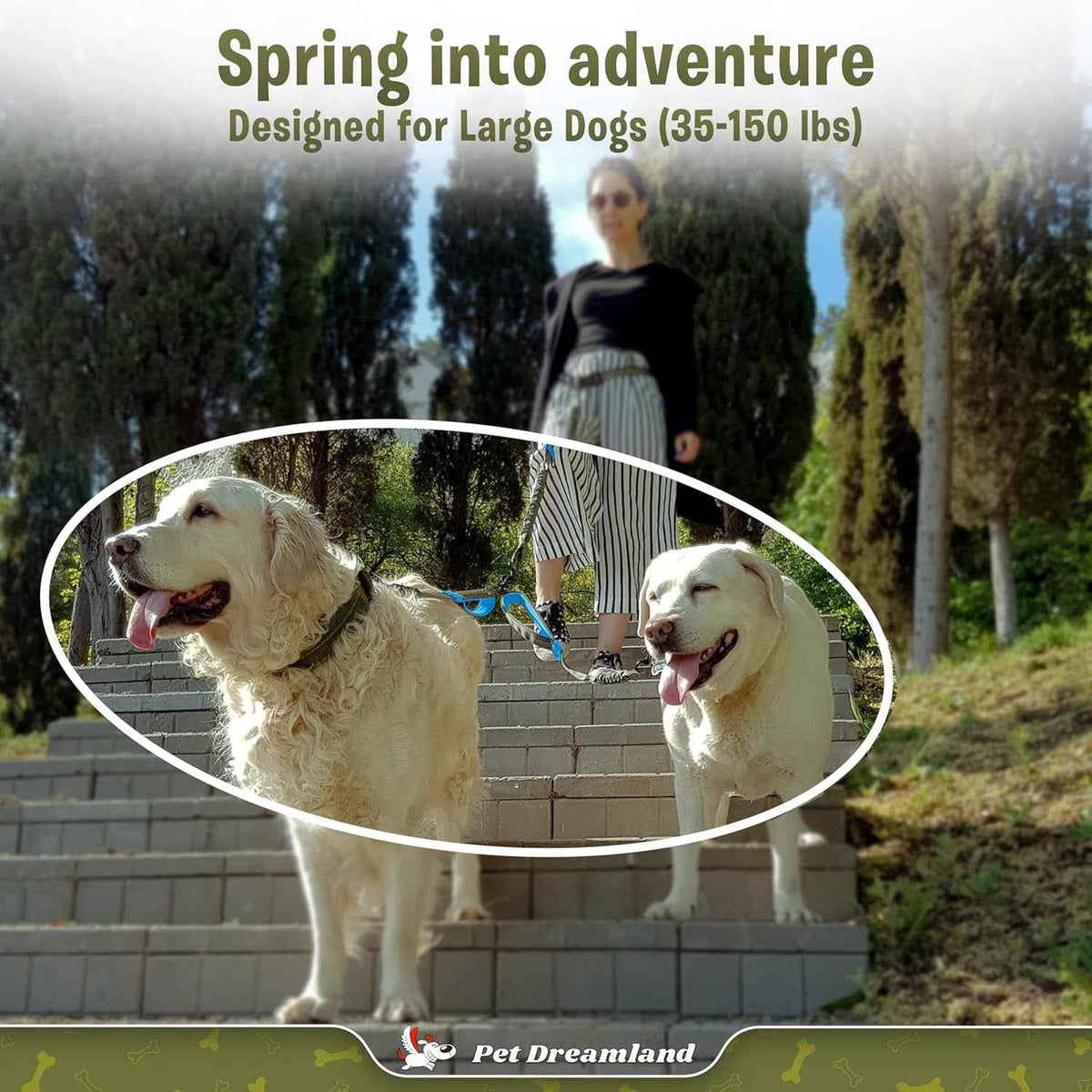 Dual Large Dog Leash Coupler: Experience Stress-Free Adventures with Your Best Friends