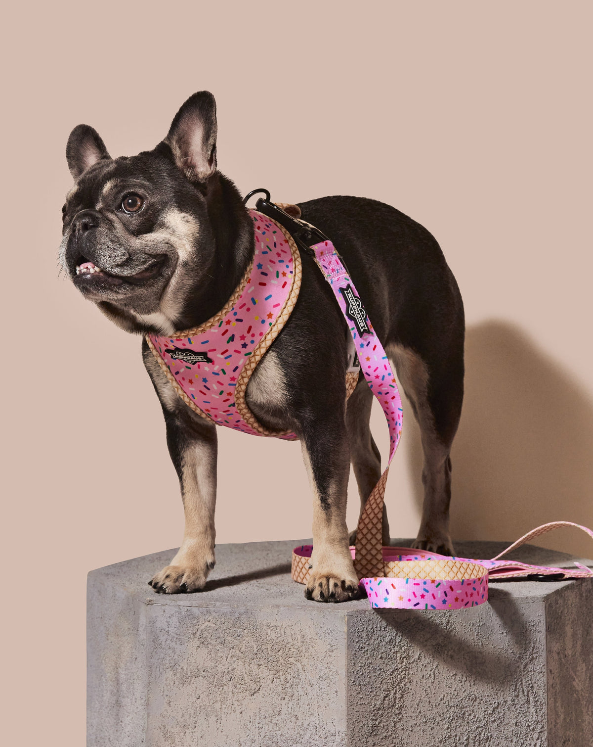 Pink Reversible Harness: Style Meets Comfort for Your Pet