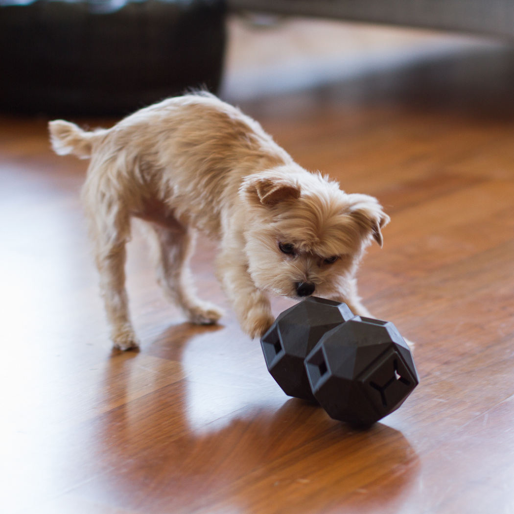 Treat Dispensing Toy For Dogs - Odin Fun & Engaging Experience