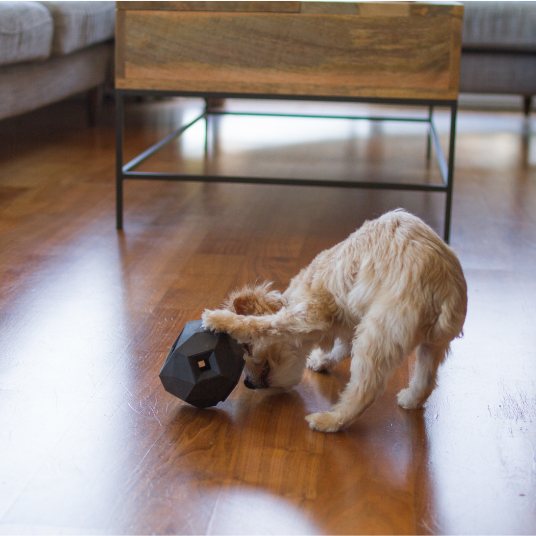 Treat Dispensing Toy For Dogs - Odin Fun & Engaging Experience