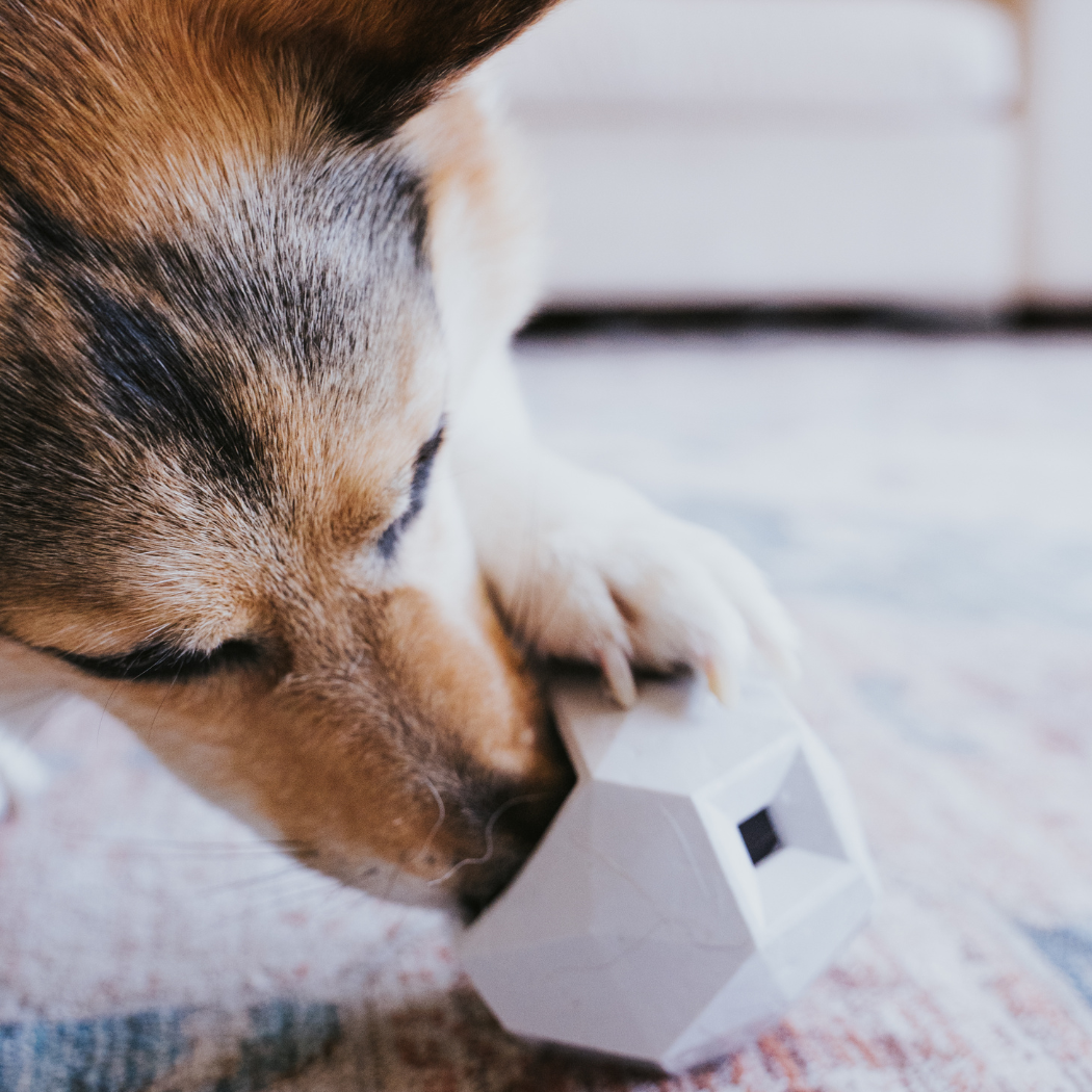 Treat Dispensing Toy For Dogs - Odin Fun & Engaging Experience