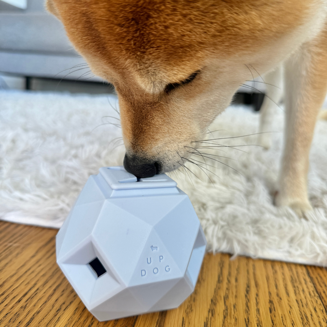 Treat Dispensing Toy For Dogs - Odin Fun & Engaging Experience