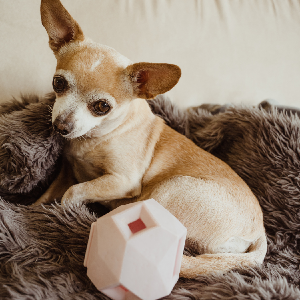 Treat Dispensing Toy For Dogs - Odin Fun & Engaging Experience