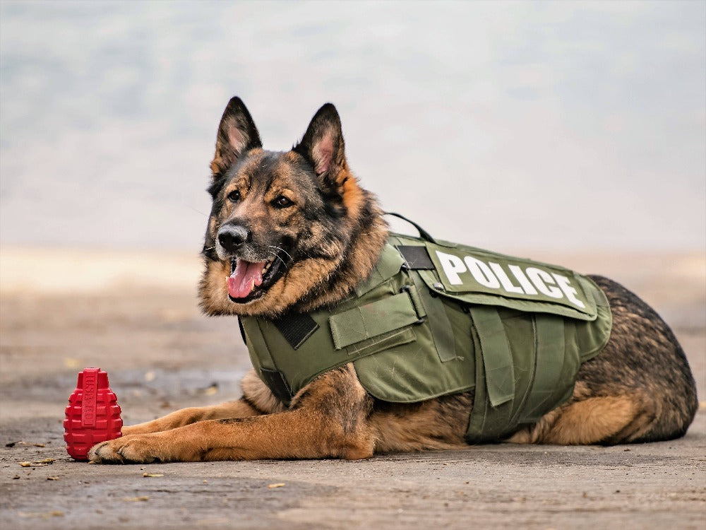 Grenade Shaped Toy & Treat Dispenser for Power Chewers - USA-K9