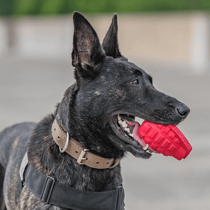 Grenade Shaped Toy & Treat Dispenser for Power Chewers - USA-K9